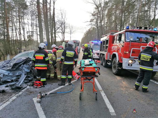 Przasnysz. Auto z kobietą i dzieckiem uderzyło w drzewo! Później spadł na nie pień! [ZDJĘCIA]