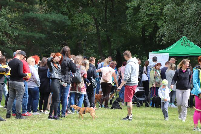 IX Piknik Przyjaciół Schroniska w Toruniu
