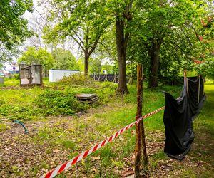 Domki fińskie na Polu Mokotowskim w trakcie odbudowy