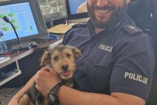 Dzieci znęcały się nad psem. Szybka reakcja mieszkańców sprawiła, że pies został odebrany rodzinie