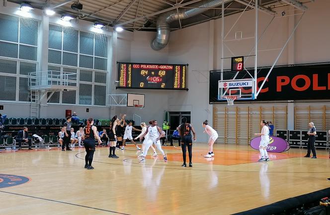 play off z ccc