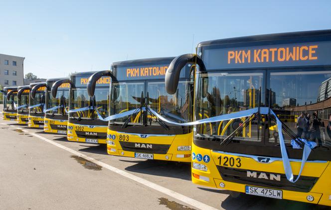 Katowice śląskim liderem walki o czyste powietrze!