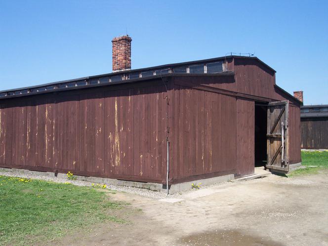 Skandal w muzeum Auschwitz–Birkenau. Antysemickie napisy na barakach