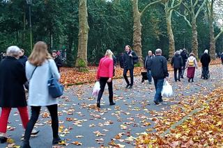 Dzień Wszystkich Świętych na Cmentarzu Centralnym w Szczecinie
