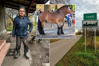 Koń wart fortunę zniknął ze stajni. Złodzieje niczym duchy. Zrozpaczony właściciel. „Jakby się rozpłynął”