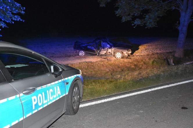 Ochoża: Dwie osoby nie żyją. Nocny horror na drodze pod Chełmem