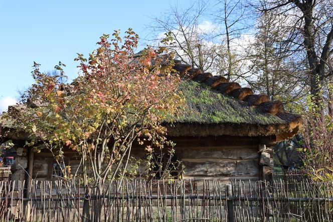 Zachwycający listopad w Muzeum Wsi Lubelskiej! Tak prezentuje się jesienny skansen [ZDJĘCIA]