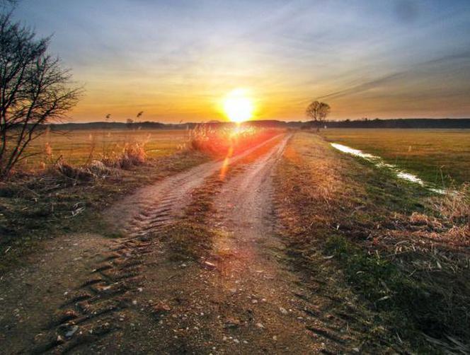 Wiosna na Podlasiu