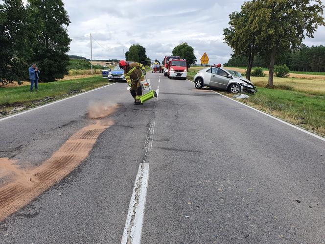 Makabryczny wypadek pod Ostrowią Mazowiecką! Cztery karetki i śmigłowiec zabrały ciężko rannych [ZDJĘCIA]