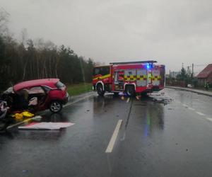 Zdarzenie zostało zakwalifikowane jako katastrofa w ruchu lądowym