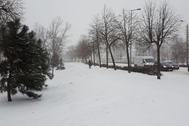 Kolejny atak zimy tej zimy w Lesznie. Miasto zasypane śniegiem [FOTO/VIDEO]     