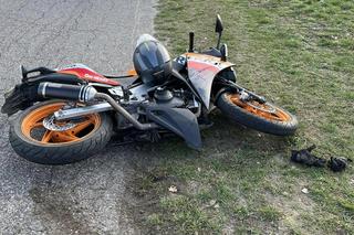 Kolizja motocyklisty z psem