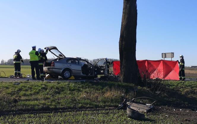 Tragedia pod Nakłem. Kierowca roztrzaskał się na drzewie