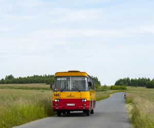 Zabytkowe tramwaje i autobusy na ulicach Wrocławia! Sprawdź, gdzie znaleźć je w sierpniu 