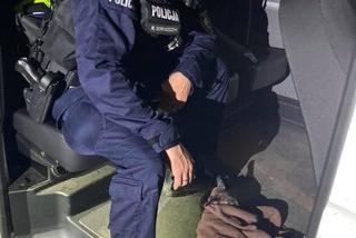 Śląskie: Policjanci odebrali poród sarny! Zwierzę chwilę wcześniej zostało potrącone przez samochód [ZDJĘCIA]