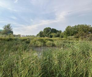 Siekierki i Augustówka