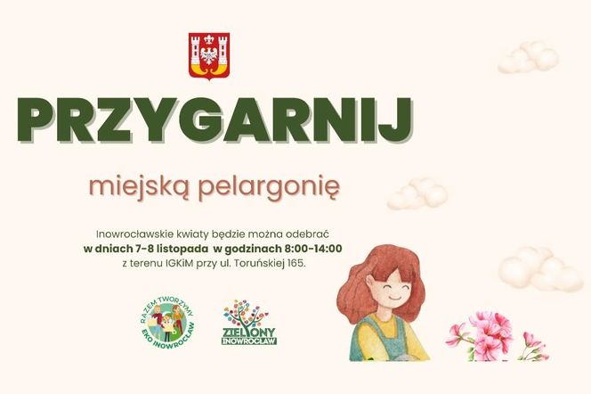 Inowrocław: przygarnij miejską pelargonię