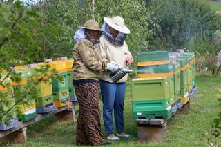 Piekarską ciągnie do miodu