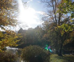 Park Wilsona jesienią