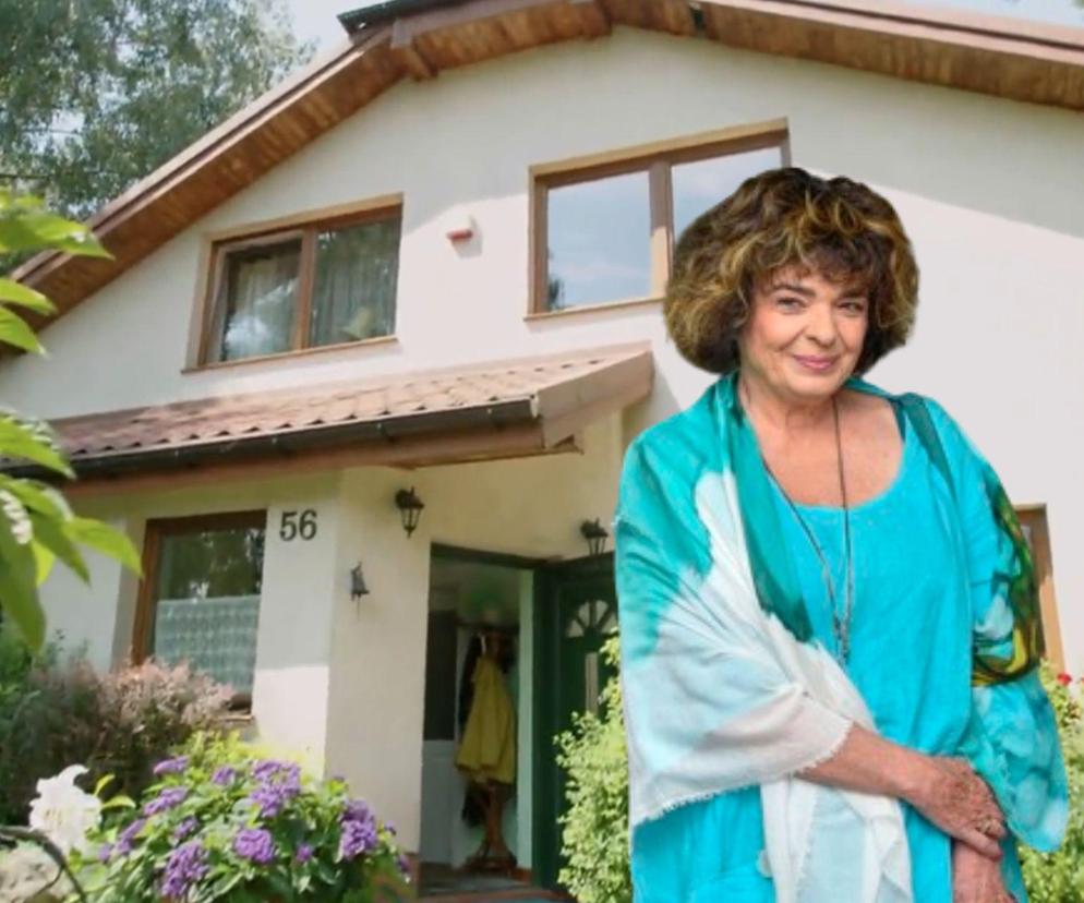 Nigdy w życiu podbija Tiktoka! Jak mieszka jego autorka Katarzyna Grochola? Zobacz jej dom