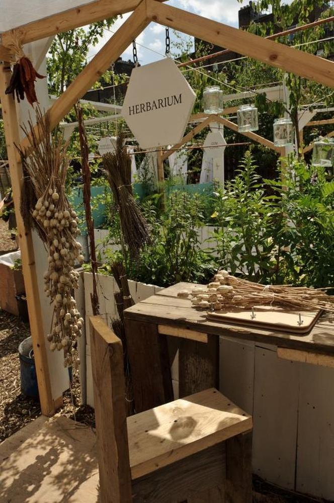 Przekierowanie, Urban Physic Garden