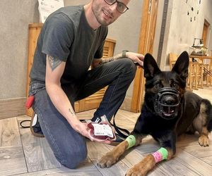 Pies honorowy krwiodawca