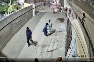 Lew rzucił się na dzieci i kobietę pośrodku ulicy! Oto, co stało się potem