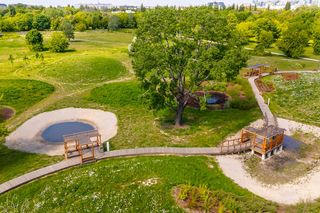 Pola Mokotowskie po modernizacji