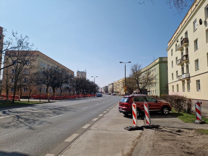 Historia wśród drzew! Tak żyje się na osiedlu Leśnym w Bydgoszczy