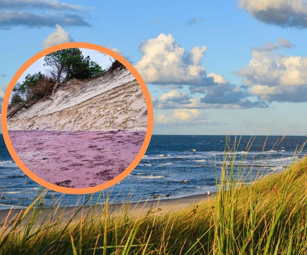 Niezwykłe odkrycie na Pomorzu! Ta plaża ma fioletowy piasek. Zobacz, gdzie ją znajdziesz
