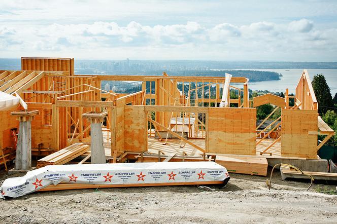 akustyka szkieletowy