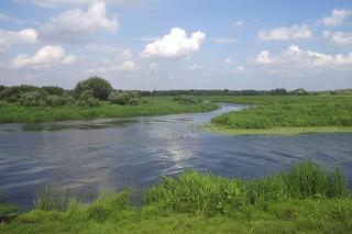 Park Narodowy Ujście Warty