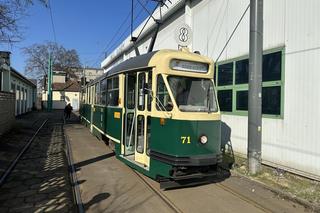 Dzień Kobiet 2024. MPK Poznań rozdał 1,5 tys. tulipanów swoim pasażerkom