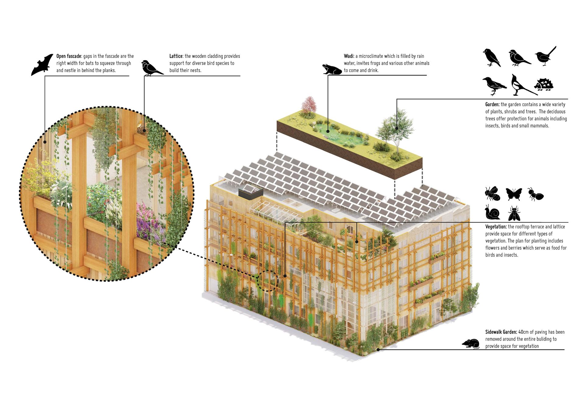 De Warren - kooperatywa mieszkaniowa w Amsterdamie
