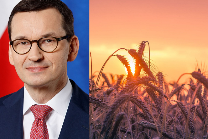 morawiecki