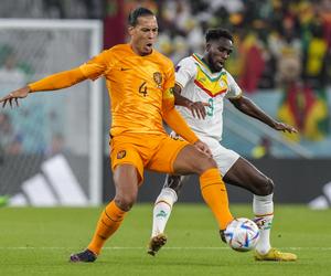 Holandia triumfuje z Senegalem! Gakpo i joker Klaassen dają wygraną
