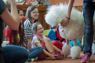 Dogoterapia wsparta uśmiechem pomogła już ponad 30 200 osobom