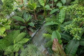 Pawilon lasu deszczowego w Śląskim Ogrodzie Zoologicznym w Chorzowie