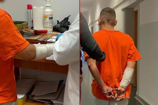 28-latek odkręcił gaz i zabił dwa psy. Jego była partnerka ledwo uszła z życiem!