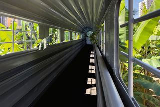 Ogród El Tanque na Teneryfie