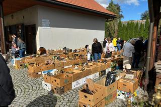 Targ Staroci w Miasteczku Galicyjskim 