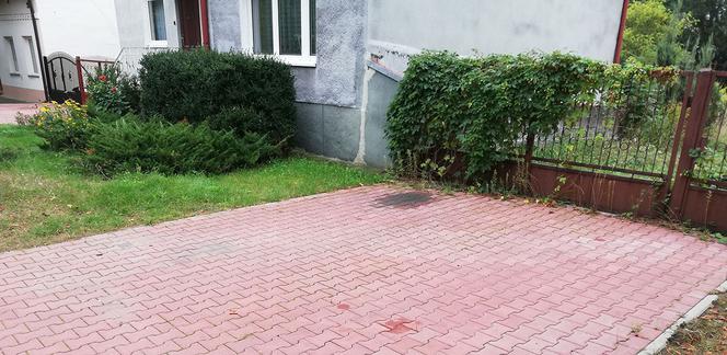 Podźgał dziewczynę, bo go rzuciła