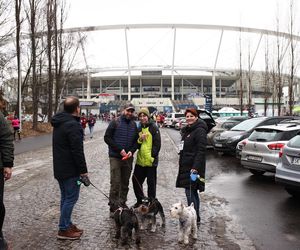 Bieg z Sercem WOŚP w Parku Śląskim. Po raz dziesiąty pobiegli w szczytnym celu