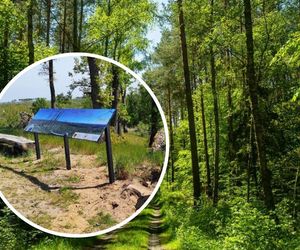 Prawie jak w Tatrach. Niezwykłe pasmo w Kujawsko-Pomorskiem. Oto najwyższe punkty województwa