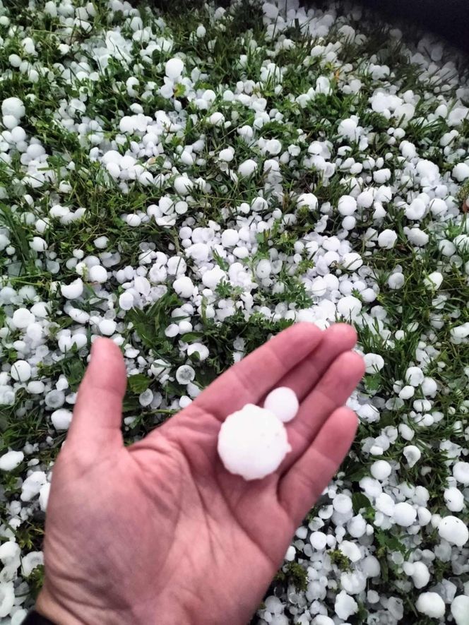 Zniszczone plantacje warzyw i owoców na Dolnym Śląsku. "To był prawdziwy armagedon" 