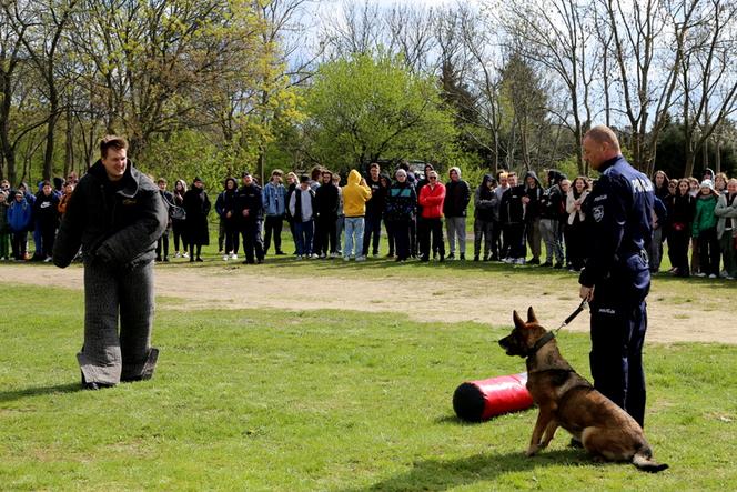 Piknik odbył się 27 kwietnia w Myślęcinku