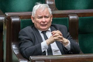 Kaczyński nie będzie zadowolony! KO wyprzedziła PiS w sondażu wyborczym 