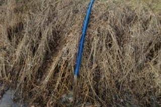 Hotel z Pabianic wylewał nieczystości do rowu