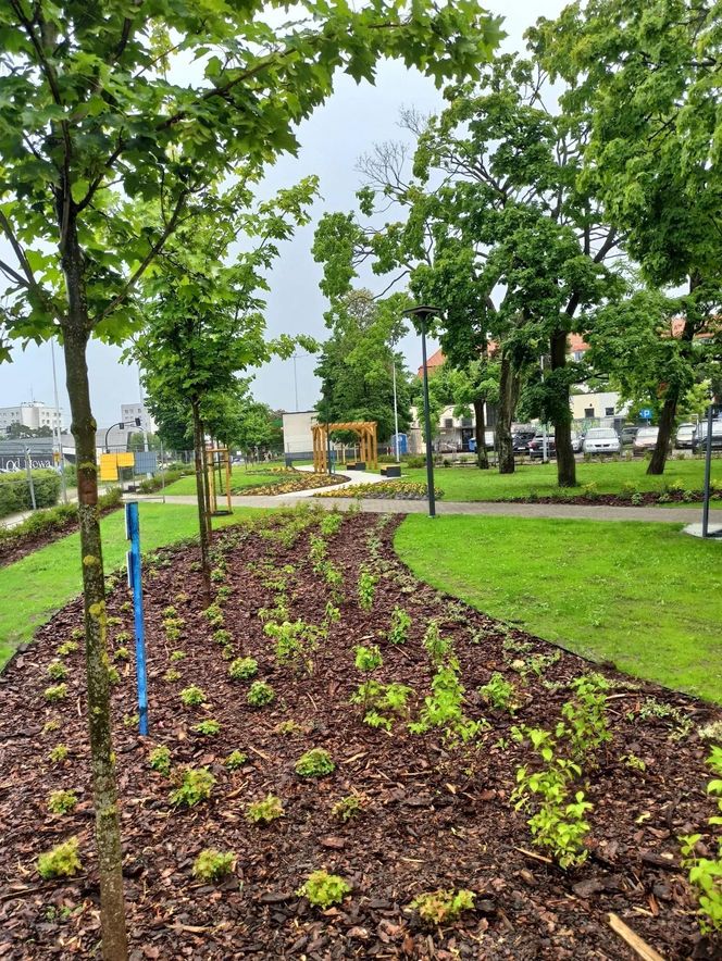 "Ukraińskie ustronie" to nowy toruński park kieszonkowy