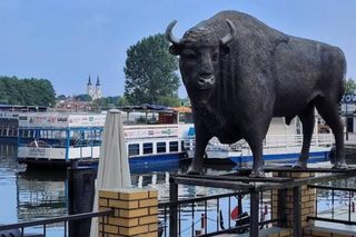 Augustów w woj. podlaskim